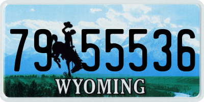 WY license plate 7955536