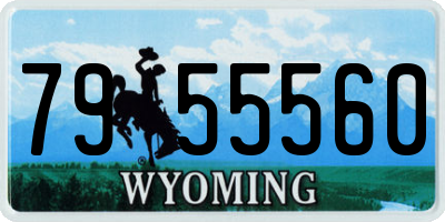 WY license plate 7955560