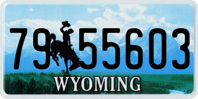 WY license plate 7955603
