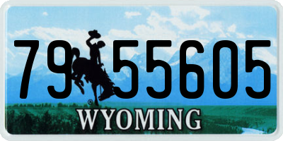 WY license plate 7955605