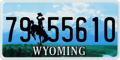 WY license plate 7955610