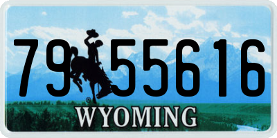 WY license plate 7955616