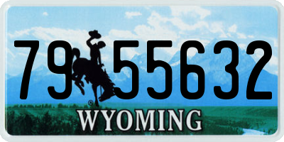 WY license plate 7955632