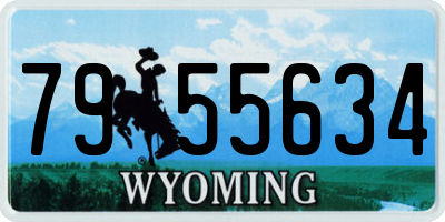 WY license plate 7955634
