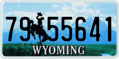 WY license plate 7955641