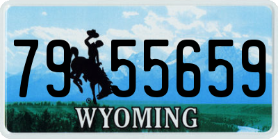 WY license plate 7955659