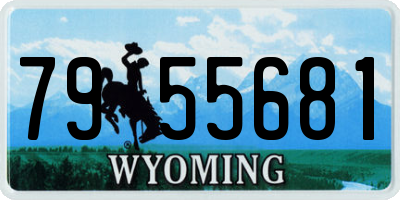 WY license plate 7955681