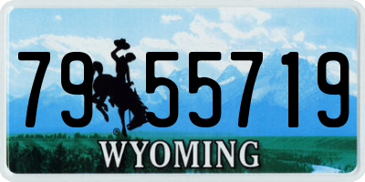 WY license plate 7955719