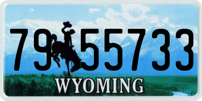 WY license plate 7955733