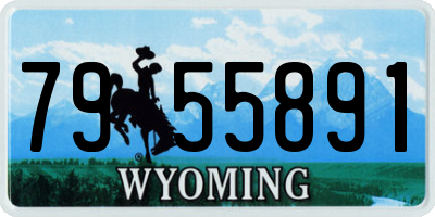 WY license plate 7955891
