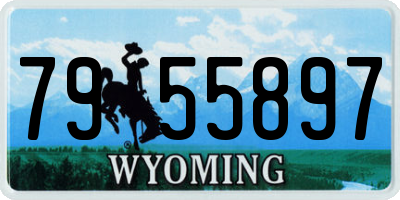 WY license plate 7955897