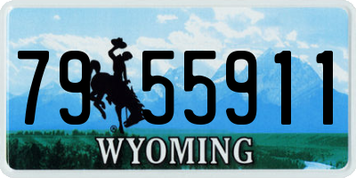 WY license plate 7955911