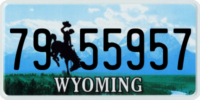 WY license plate 7955957