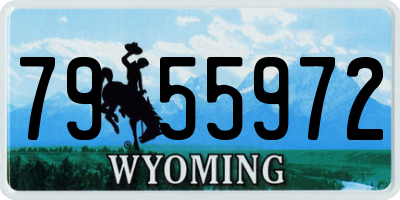 WY license plate 7955972