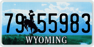 WY license plate 7955983