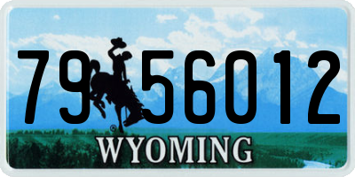 WY license plate 7956012