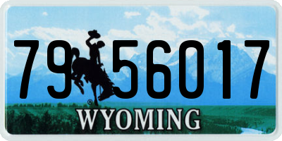 WY license plate 7956017