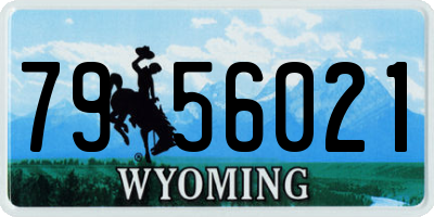 WY license plate 7956021