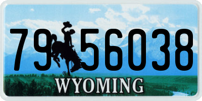 WY license plate 7956038