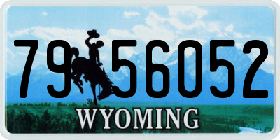 WY license plate 7956052