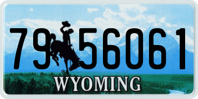 WY license plate 7956061