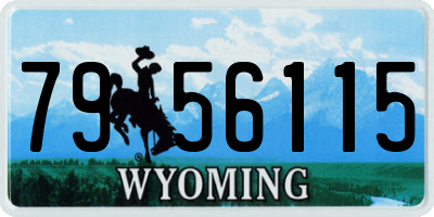 WY license plate 7956115