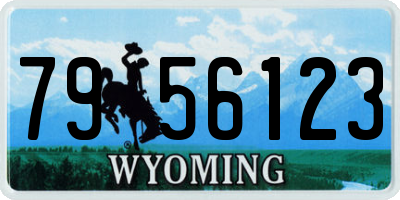 WY license plate 7956123
