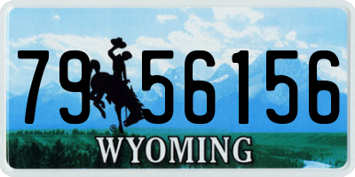WY license plate 7956156