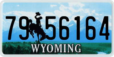WY license plate 7956164