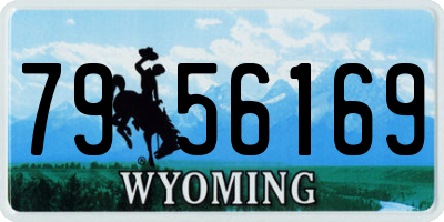 WY license plate 7956169