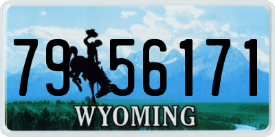 WY license plate 7956171