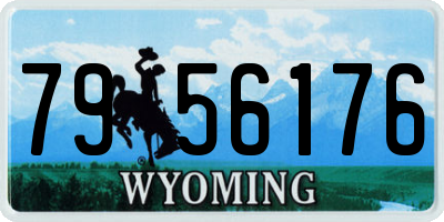 WY license plate 7956176