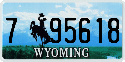 WY license plate 795618