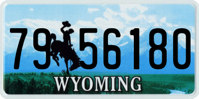 WY license plate 7956180
