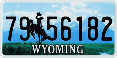 WY license plate 7956182