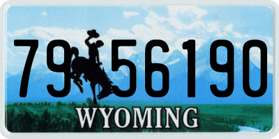 WY license plate 7956190