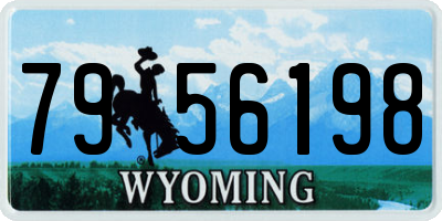 WY license plate 7956198