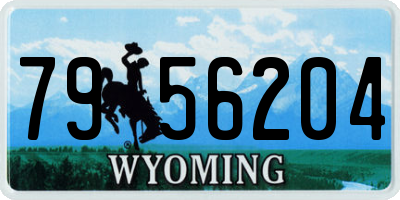 WY license plate 7956204