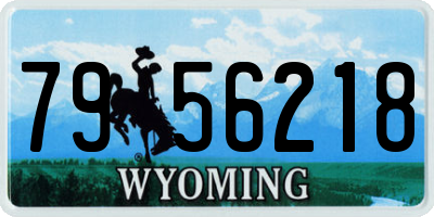 WY license plate 7956218