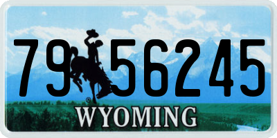 WY license plate 7956245