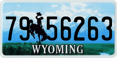 WY license plate 7956263