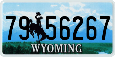 WY license plate 7956267