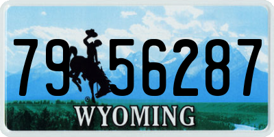 WY license plate 7956287