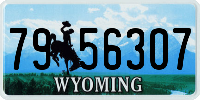 WY license plate 7956307