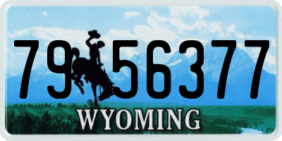 WY license plate 7956377