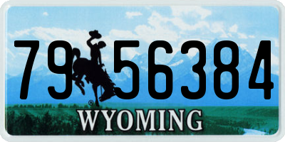 WY license plate 7956384