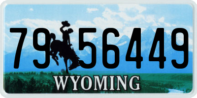 WY license plate 7956449