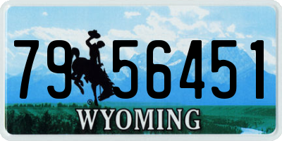 WY license plate 7956451