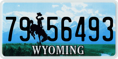 WY license plate 7956493