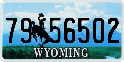 WY license plate 7956502